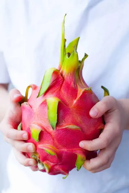 Dragon Fruit (Petaya Red)