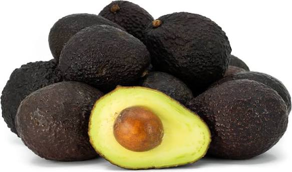 Hass Black Avocado plant grown at our Corozal nursery