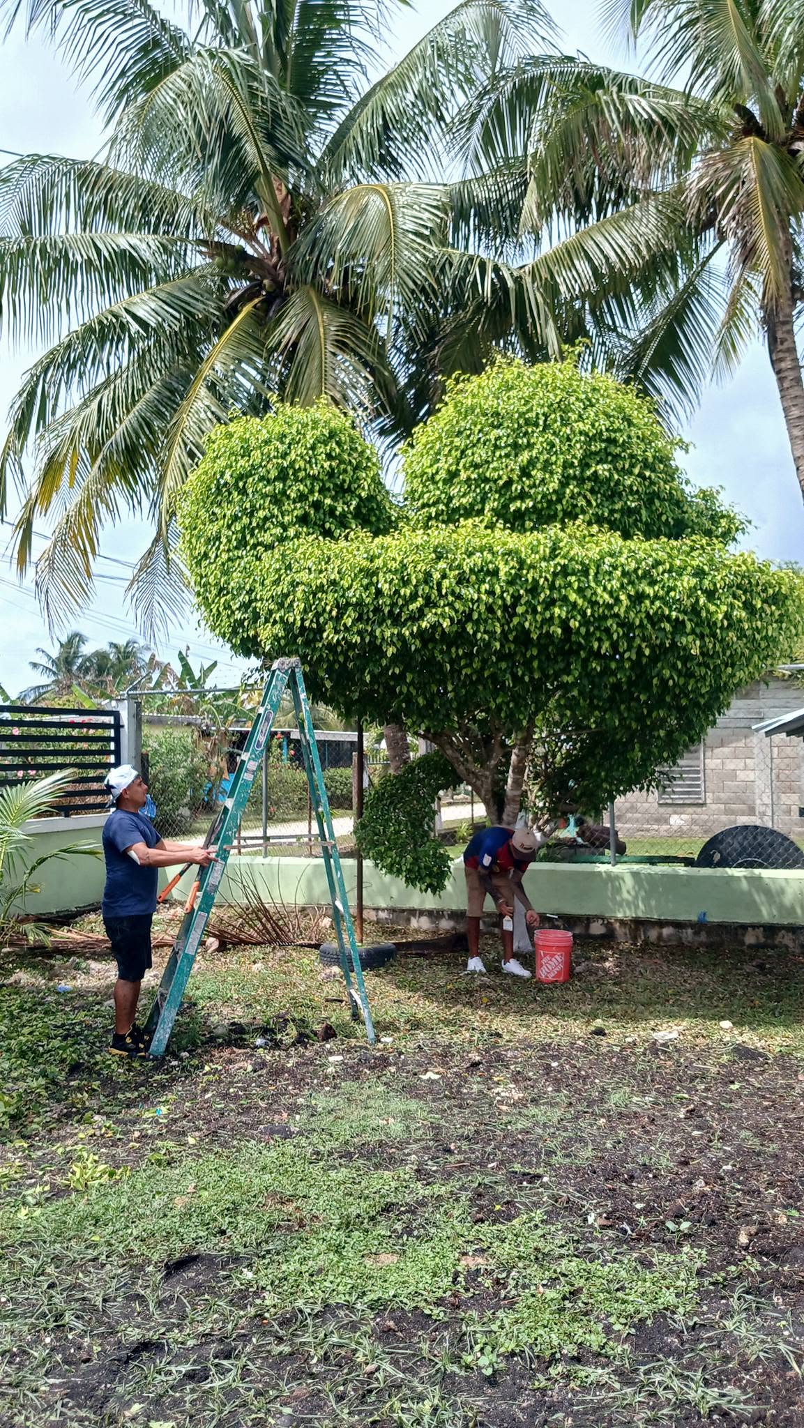Garden Design landscaping service in Corozal, Belize